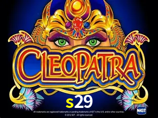 s29 Curitiba - Live Status